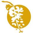 Bangkok International Film Festival